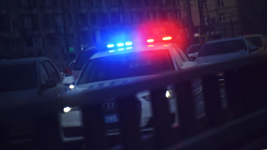 Подробнее о статье В Санкт-Петербурге лишенный прав боец ММА сел за руль и был задержан полицией